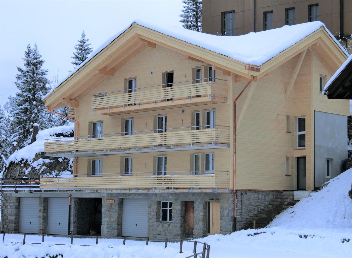 Chalet Raufthubel Мюррен Экстерьер фото